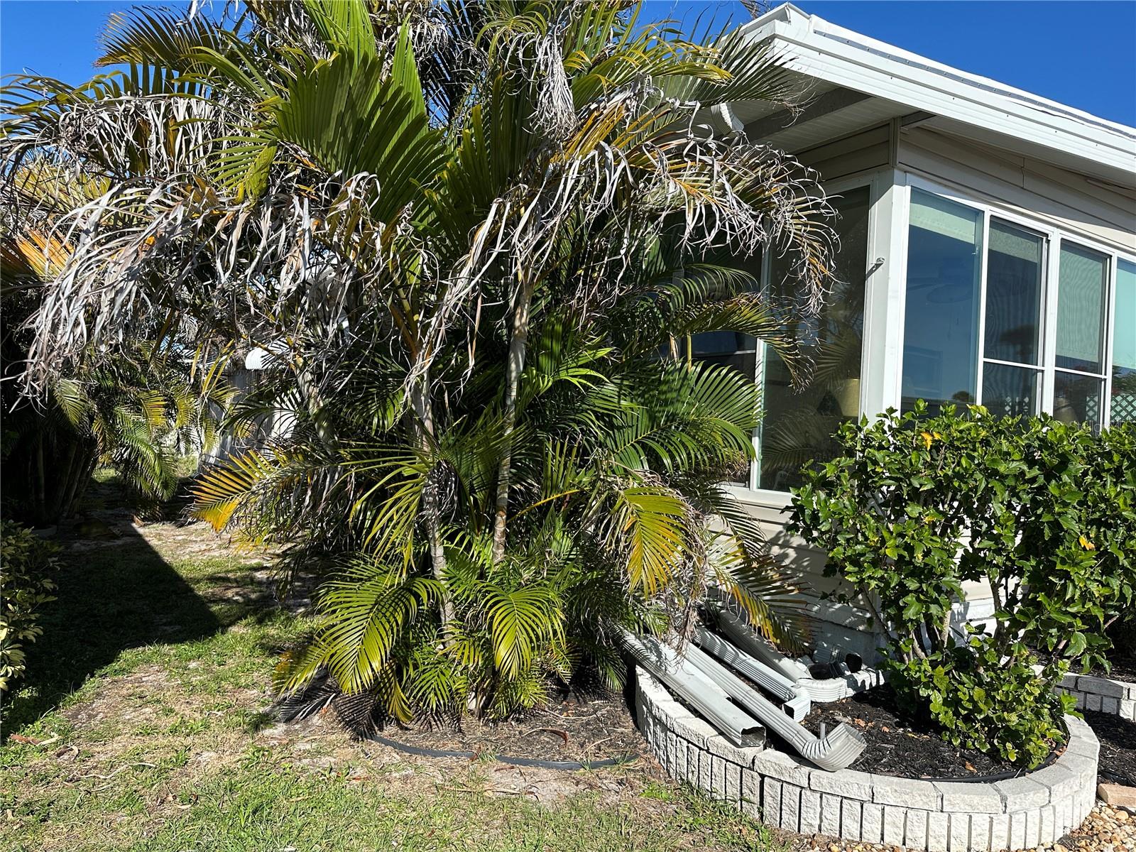 5800 Forsythia Rd Property Photo 18