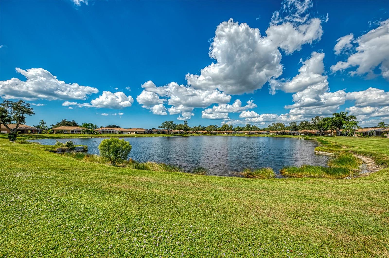 3168 E Village Dr Property Photo 52