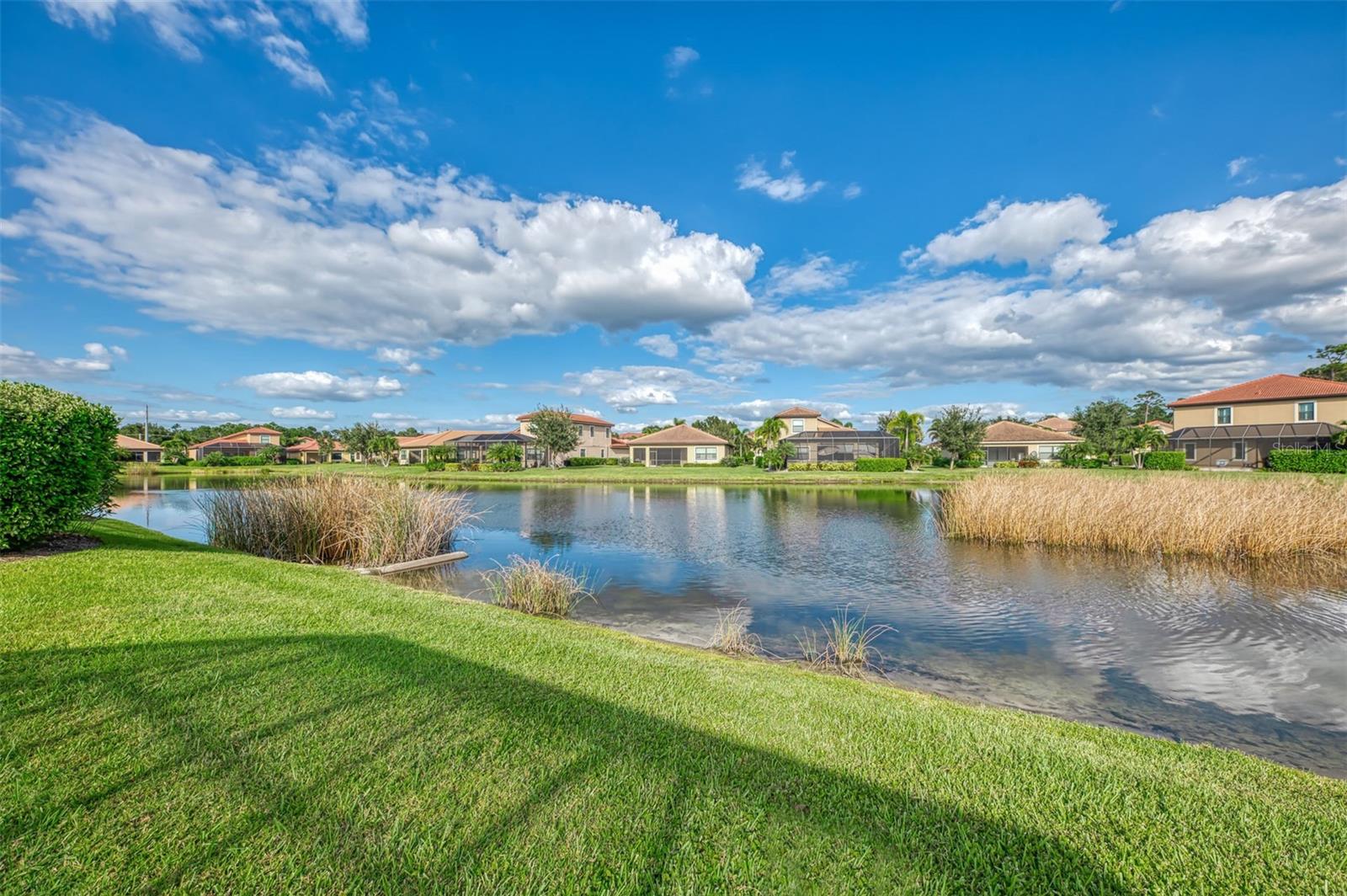 1050 Bluffwood Dr Property Photo 49