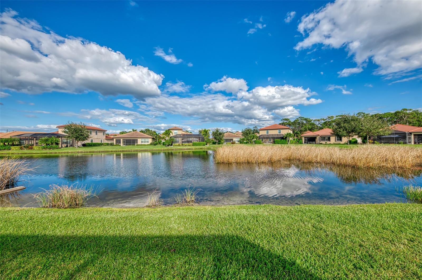 1050 Bluffwood Dr Property Photo 52