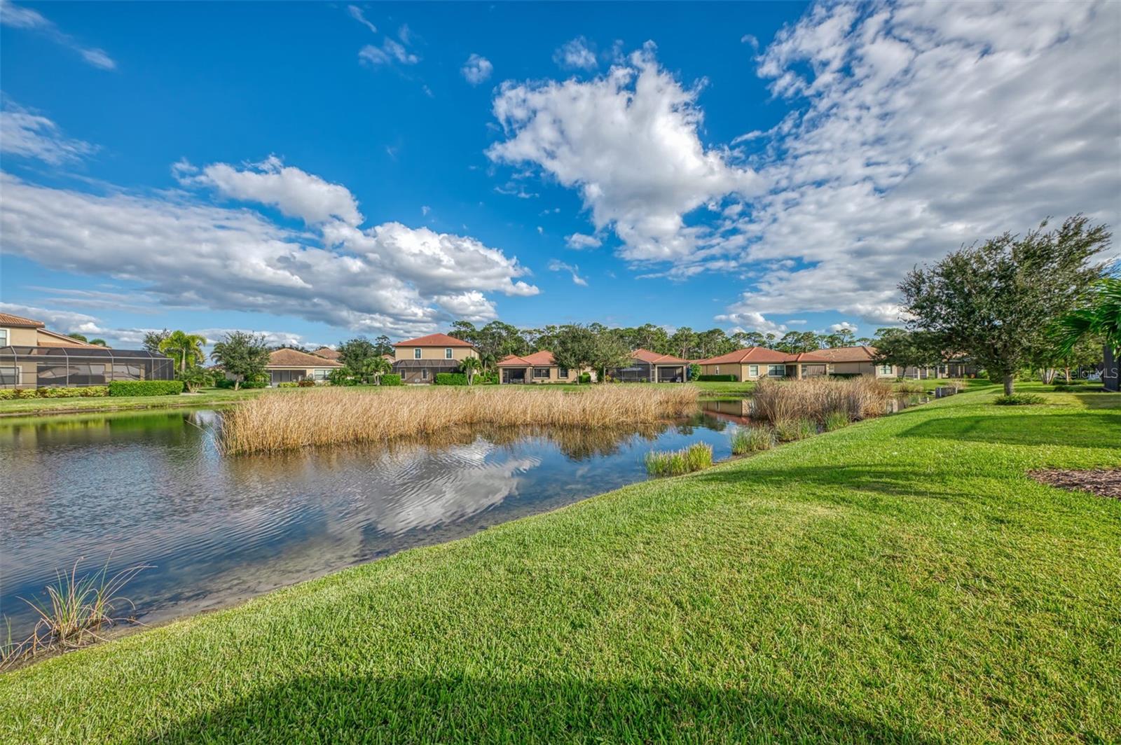 1050 Bluffwood Dr Property Photo 53