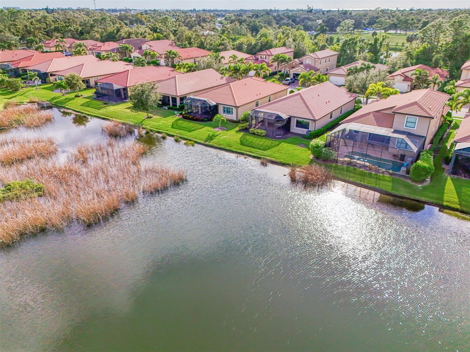 1050 Bluffwood Dr Property Photo 54