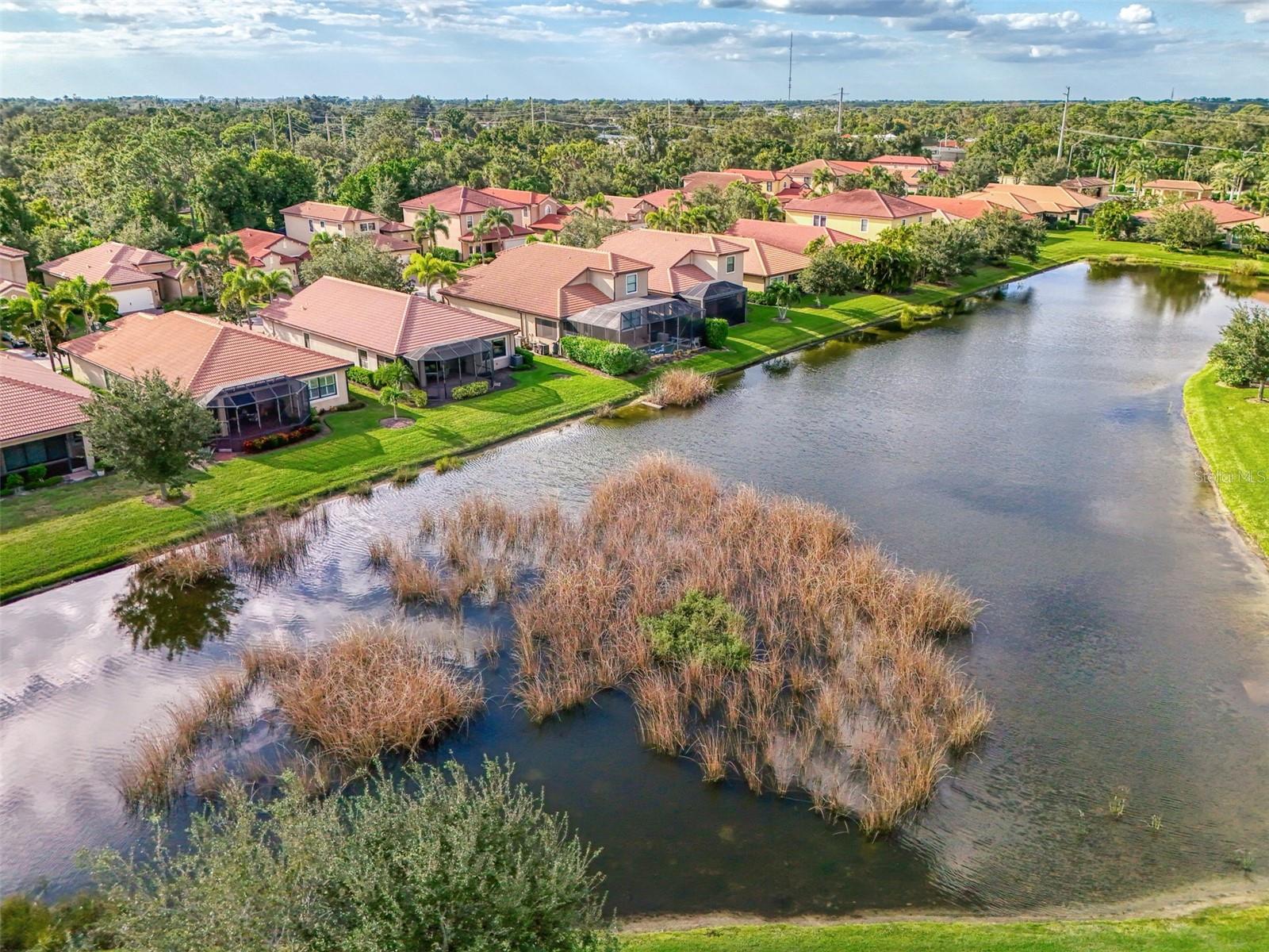 1050 Bluffwood Dr Property Photo 57