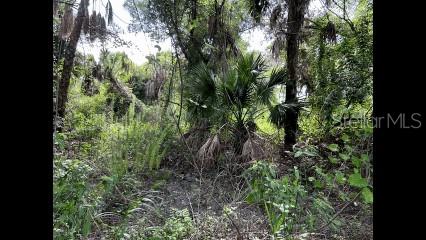Alpen Ave Property Photo 1