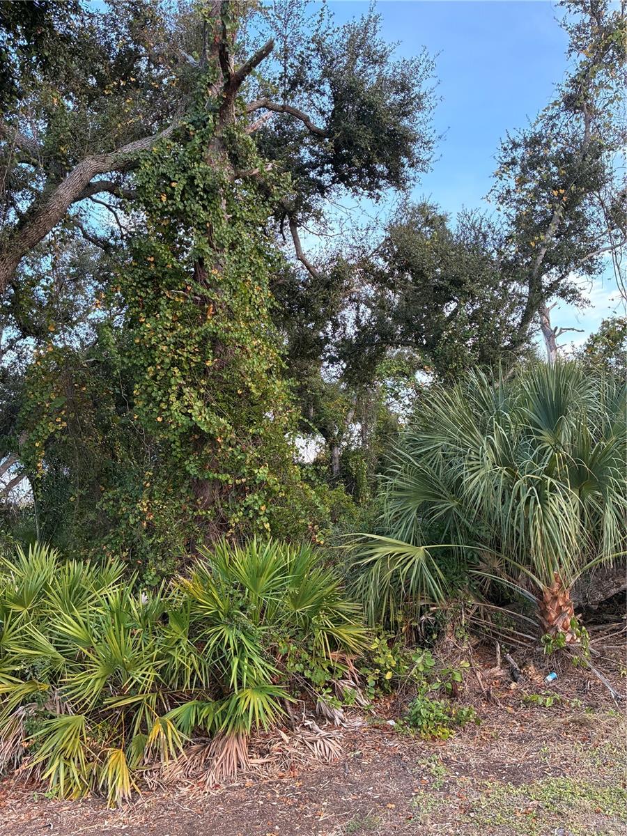 Mendavia Ter Property Photo 1