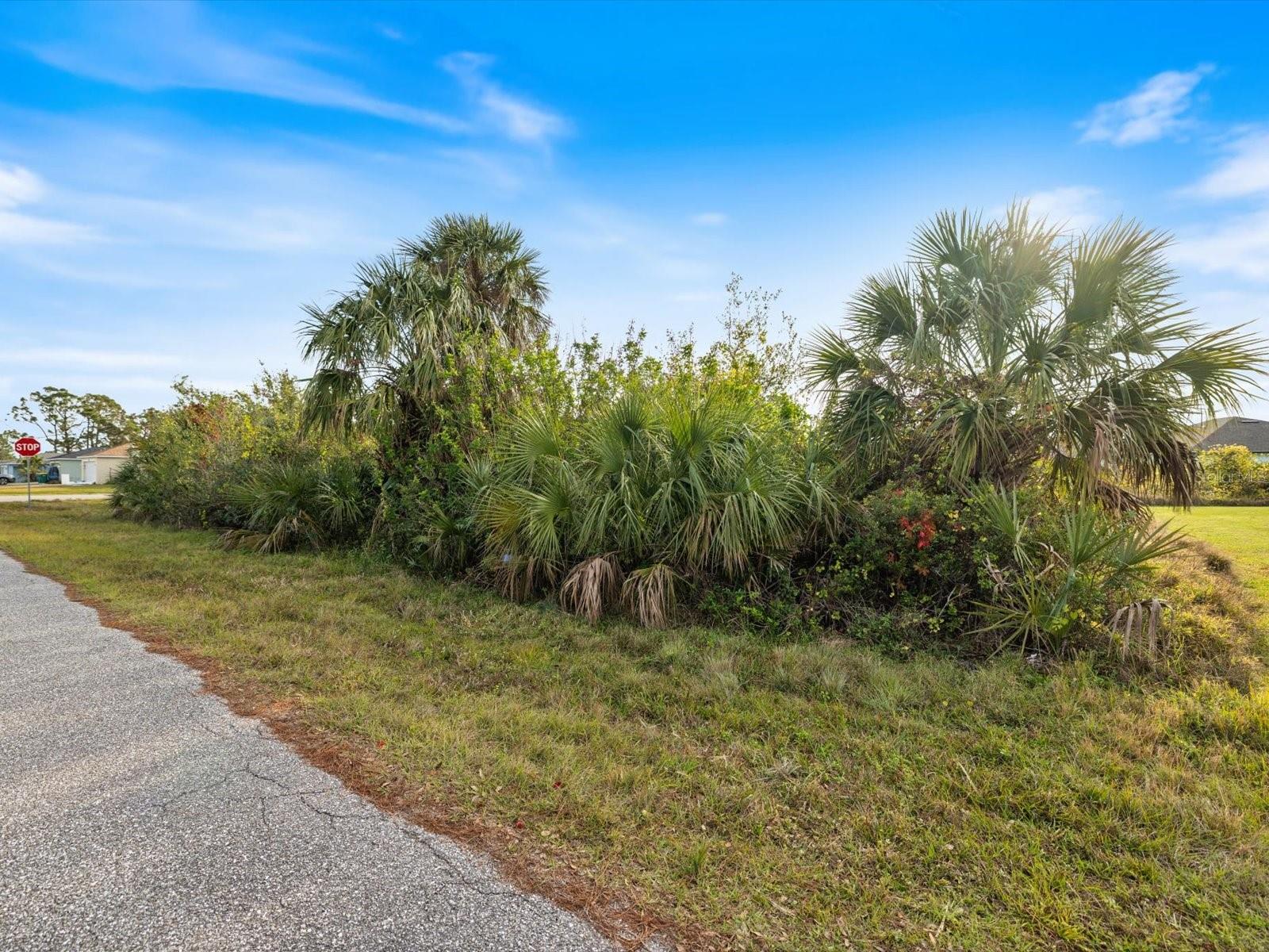 12142 Appleberg Cir Property Photo 13