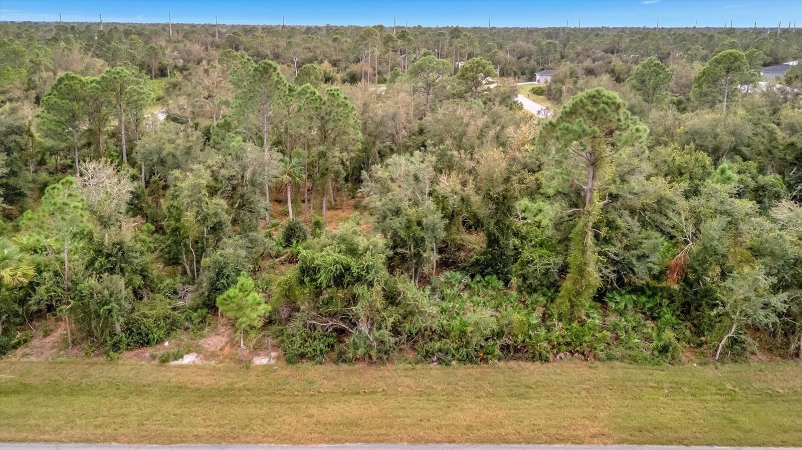 21035 Hillsborough Blvd Property Photo 1