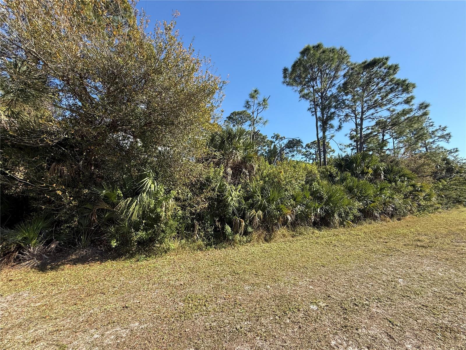9065 WILLMINGTON BLVD Property Photo 1