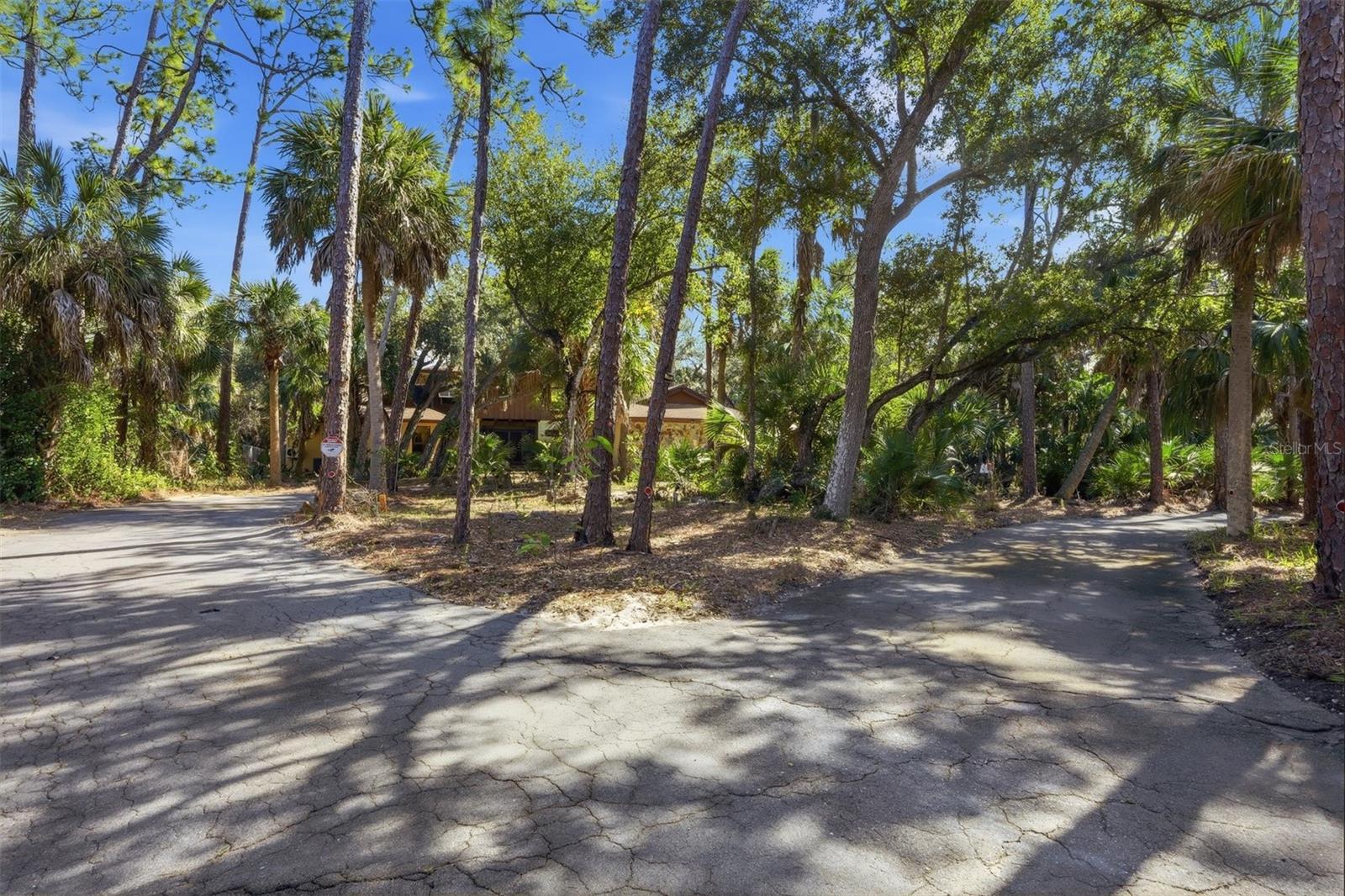 1066 Conover St Property Photo 4