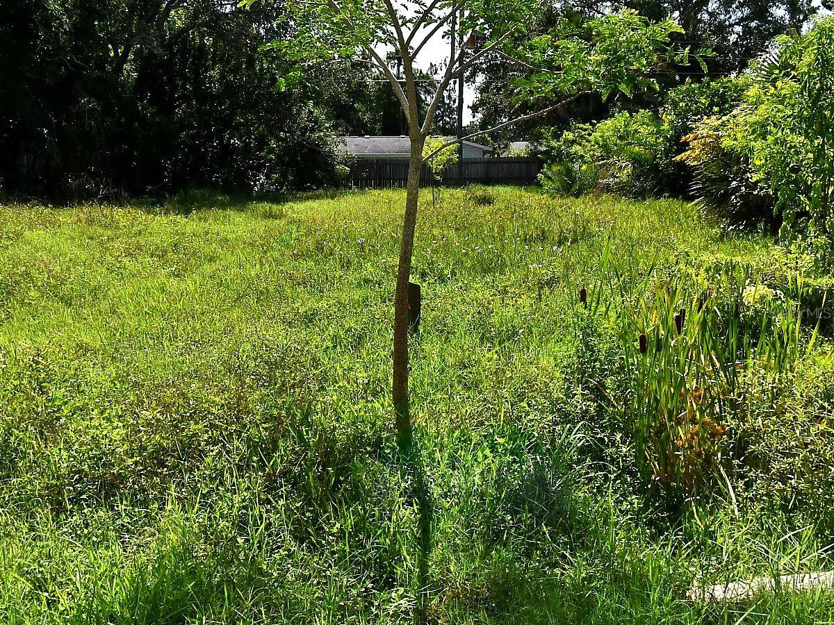 Olive Ave Property Photo 1