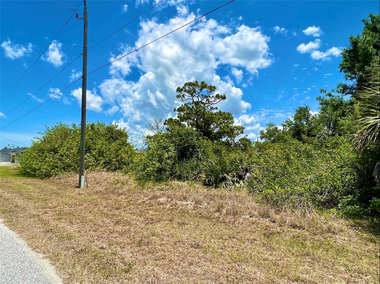13396 Rayburn Ln Property Photo 1