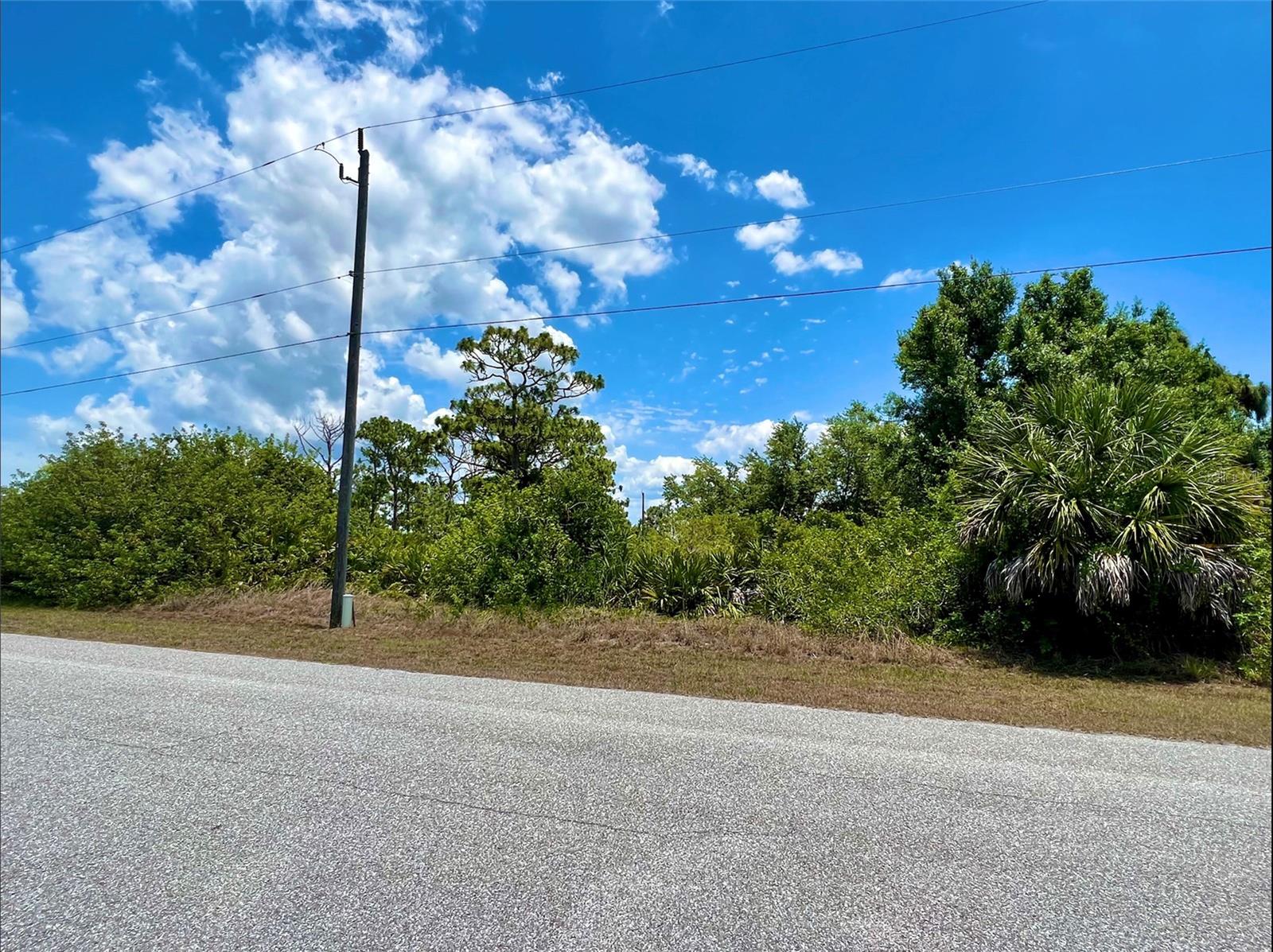 13396 Rayburn Ln Property Photo 2