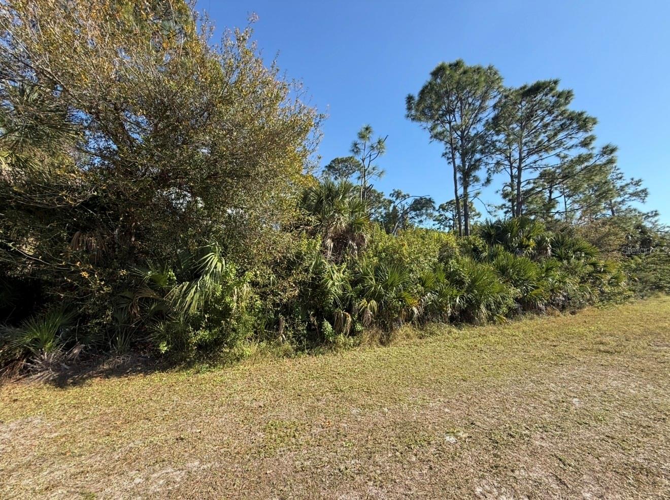 9059 Willmington Blvd Property Photo 2