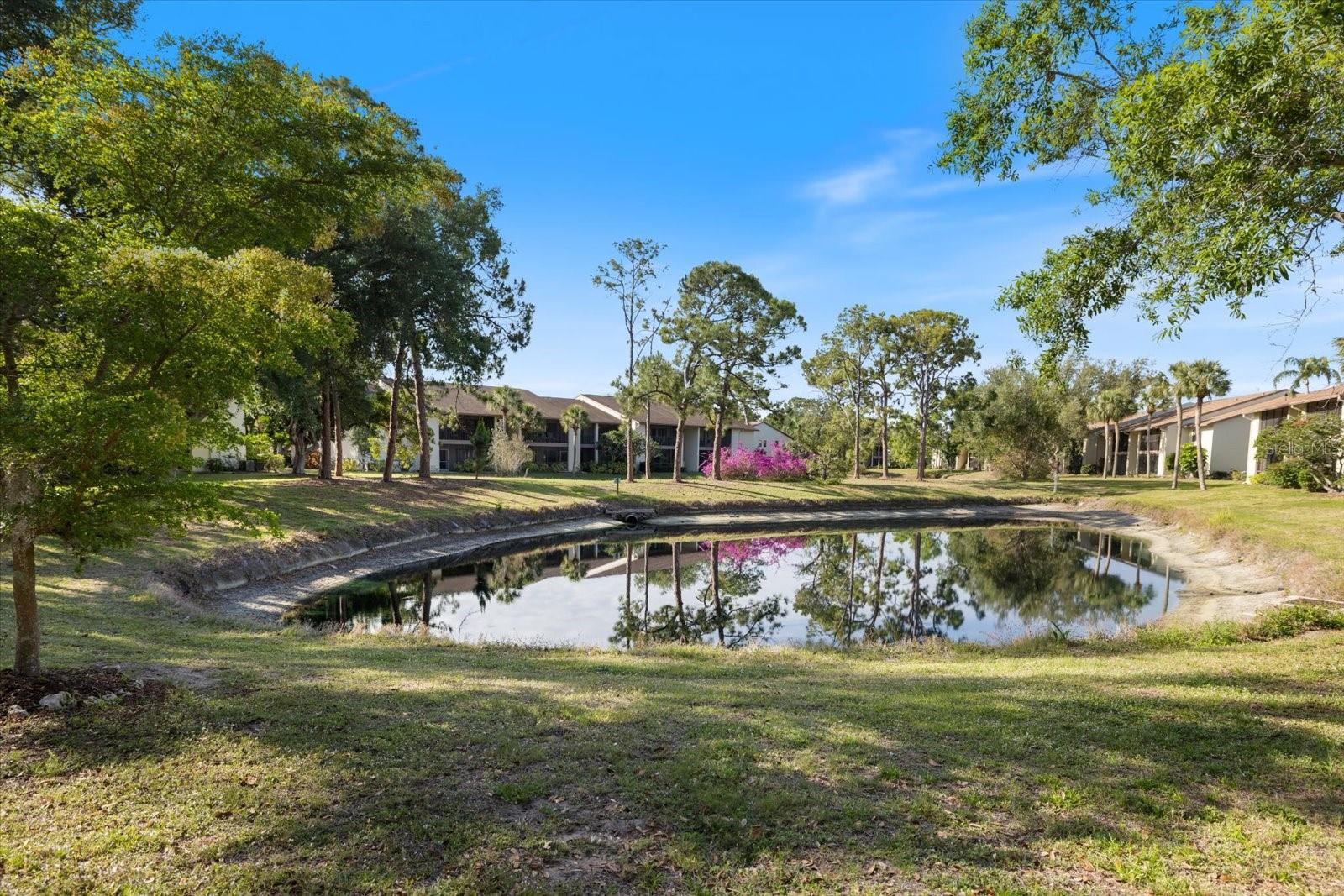 772 Bird Bay Dr N #104 Property Photo 33