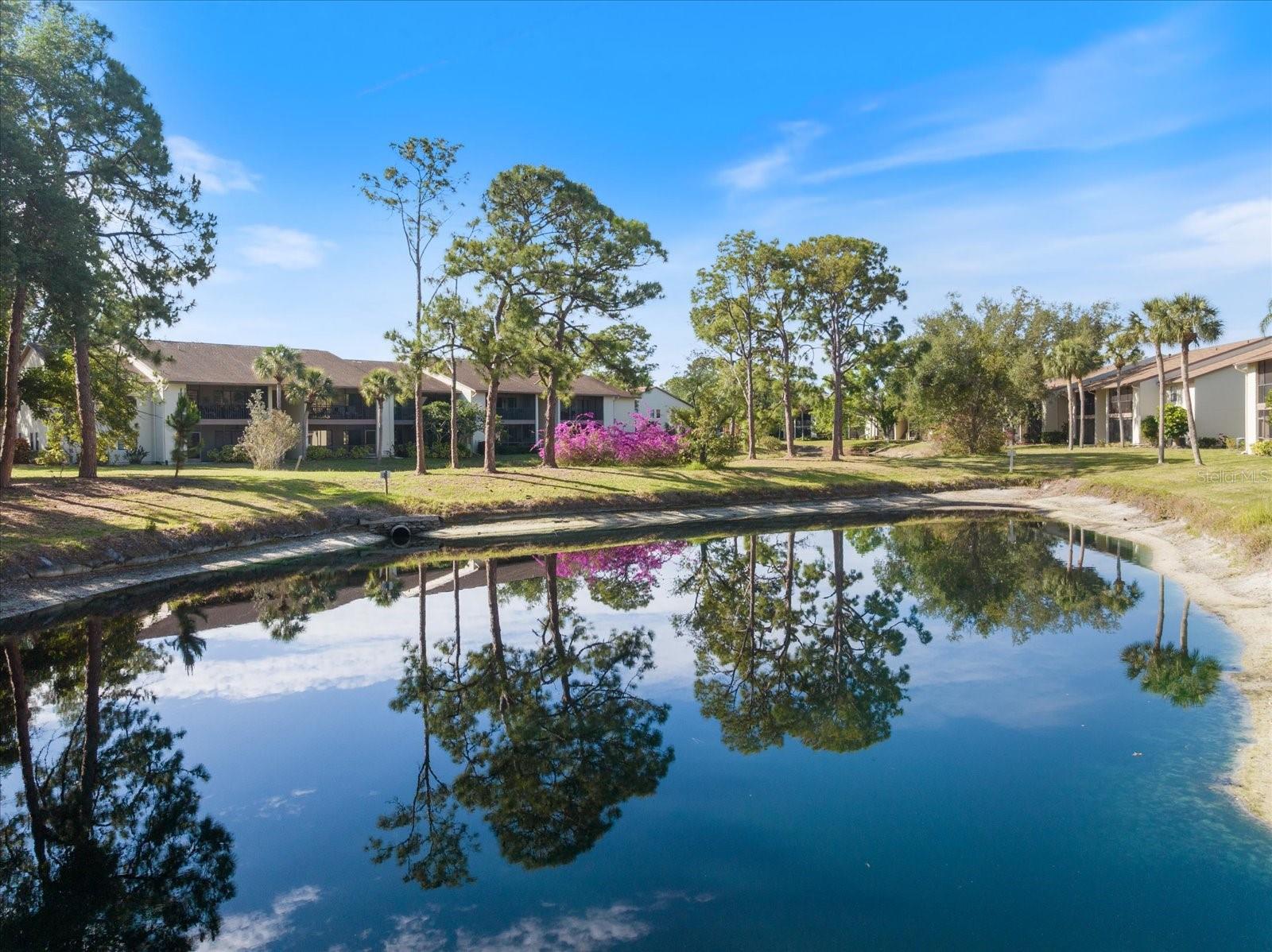 772 Bird Bay Dr N #104 Property Photo 34