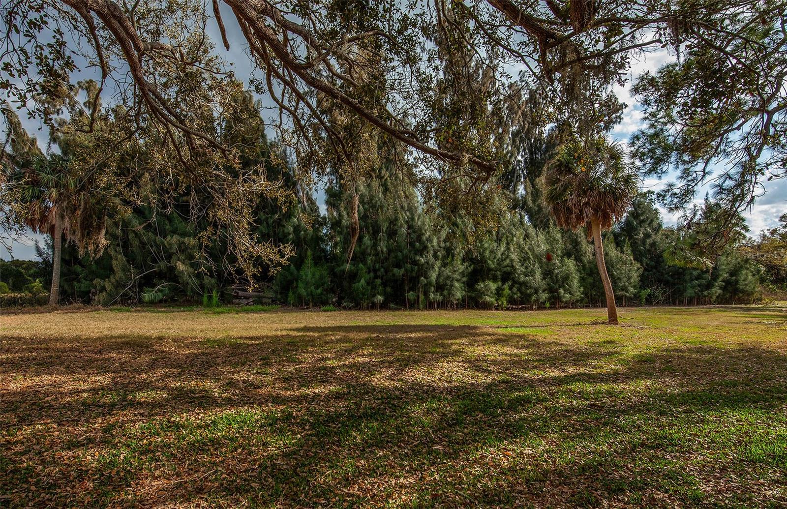 862 Bird Bay Way #194 Property Photo 37