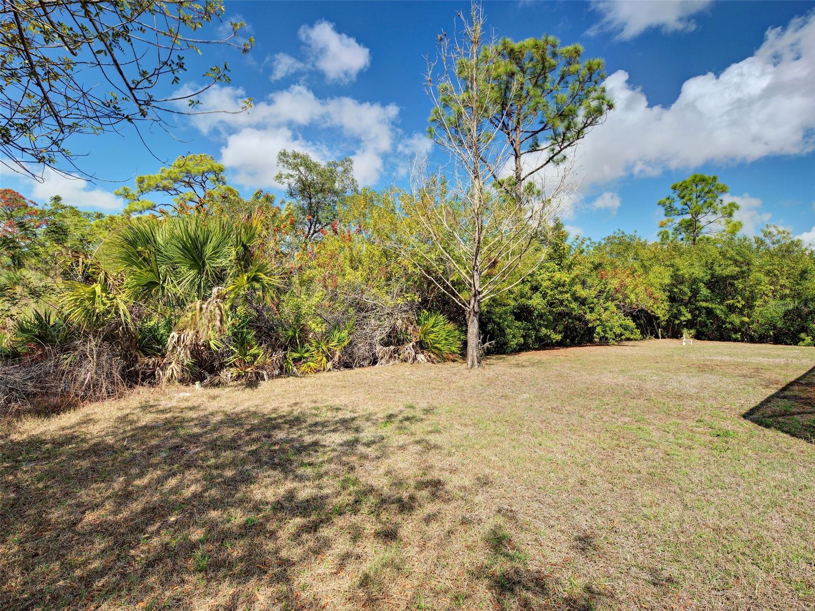 2135 Belvoir St Property Photo 18