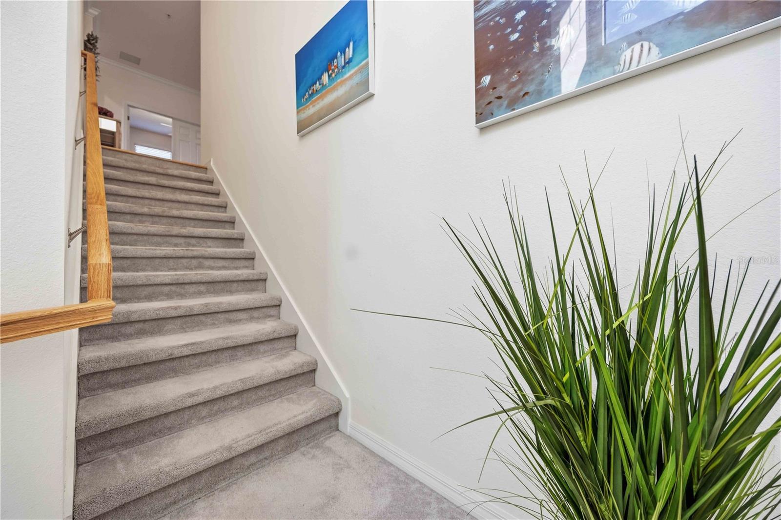 10039 Crooked Creek Dr #201 Property Photo 2