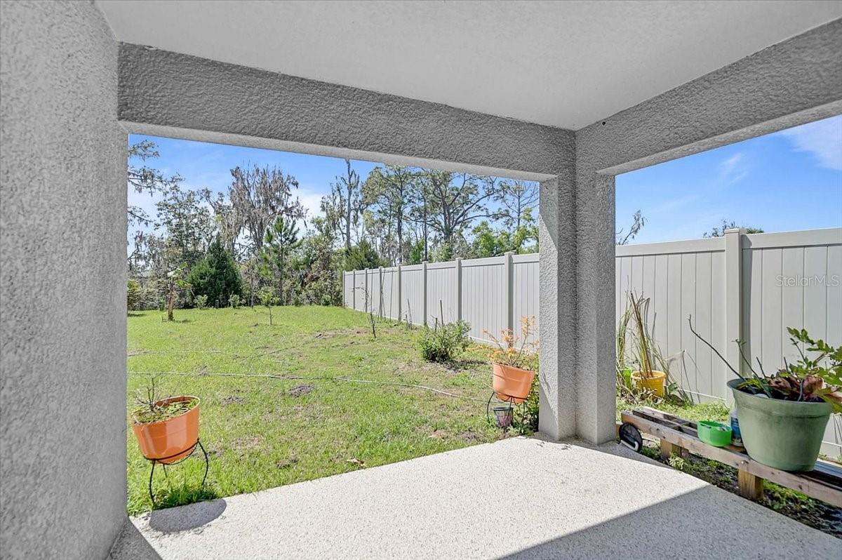 17319 Wheatberry Blvd Property Photo 23