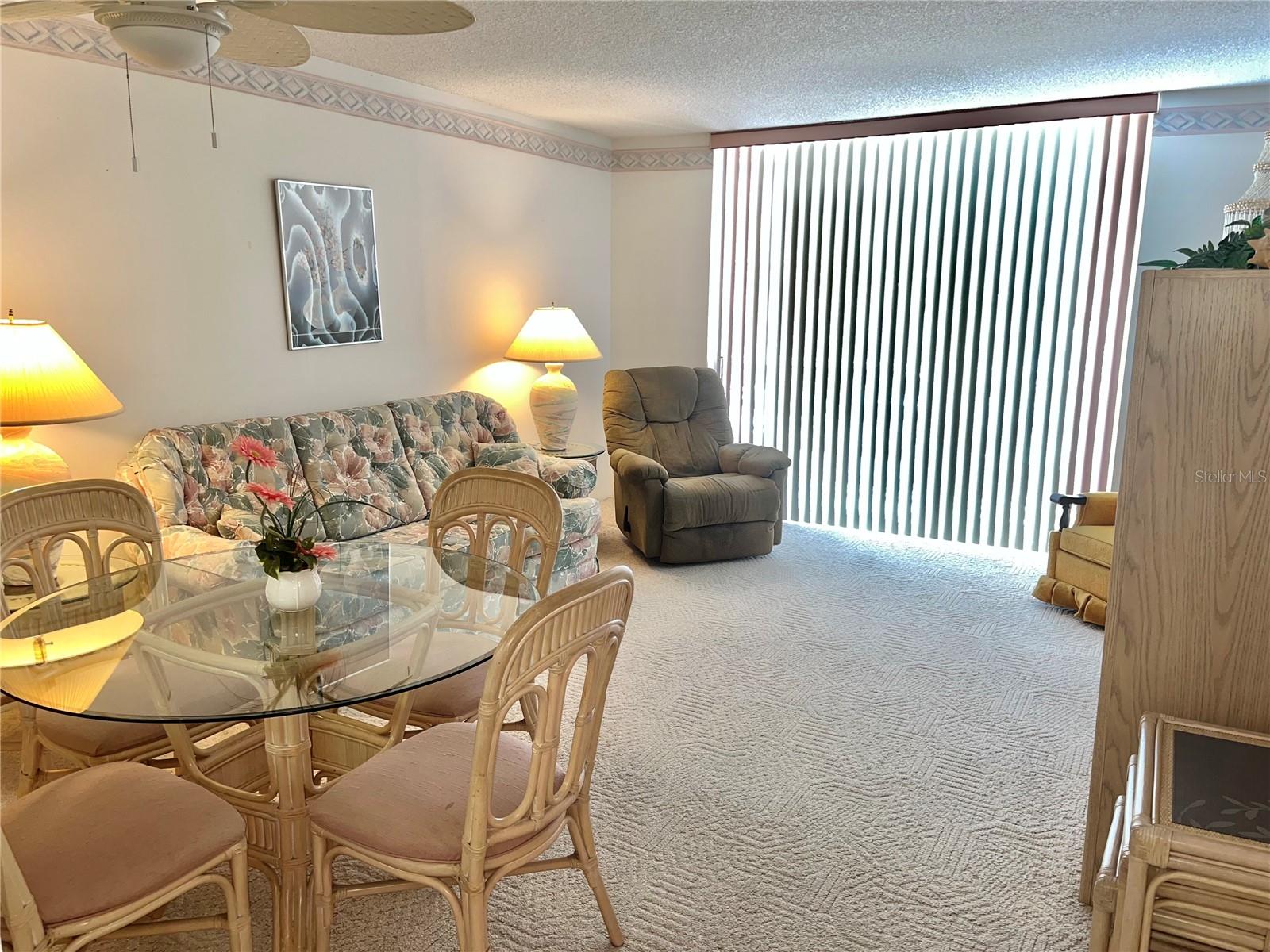 519 Albee Farm Rd #210 Property Photo 3
