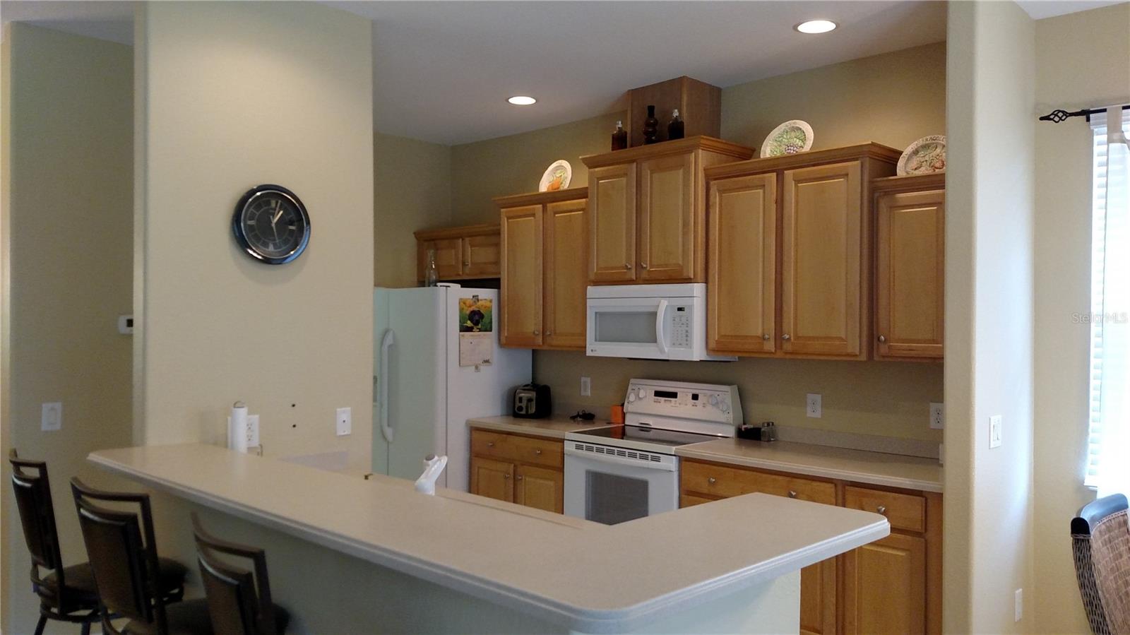 11581 Dancing River Dr Property Photo 6