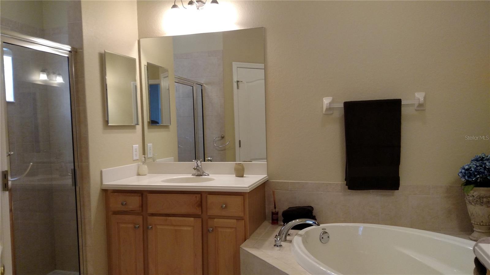 11581 Dancing River Dr Property Photo 13