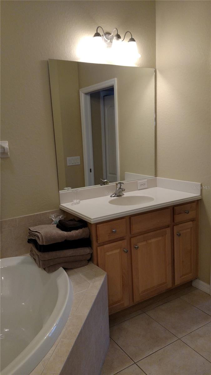 11581 Dancing River Dr Property Photo 14