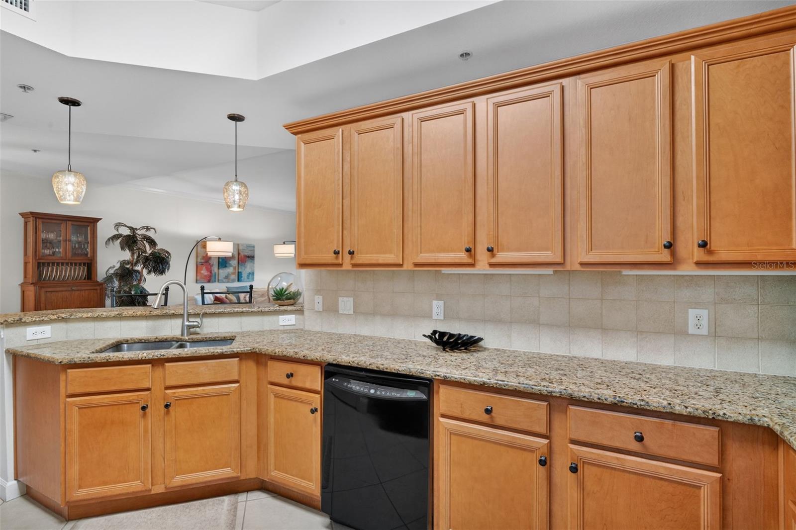 8561 Amberjack Cir #302 Property Photo 13
