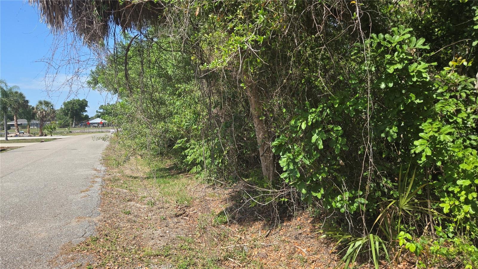 Rolla Rd Property Photo 2