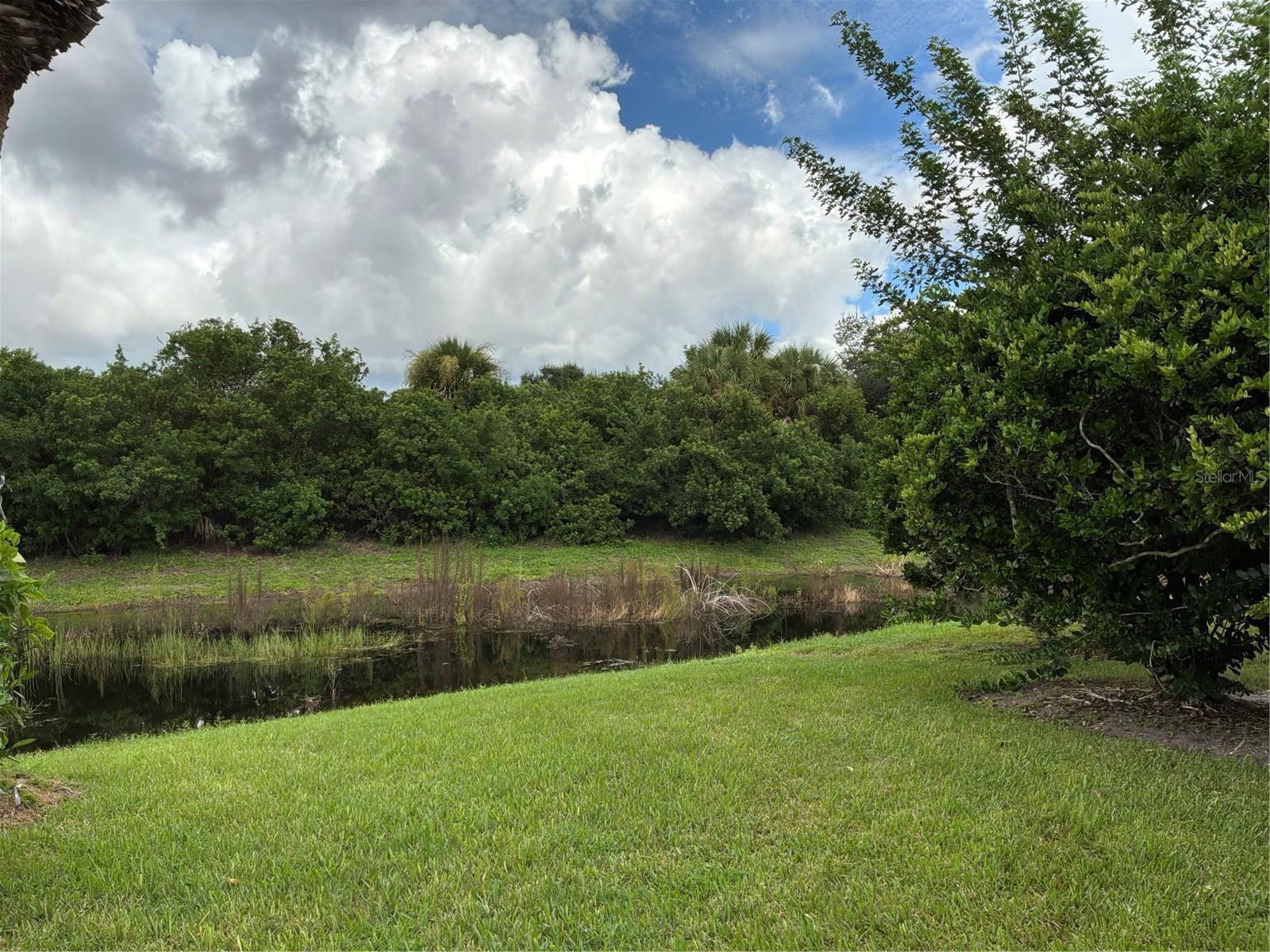 737 Pond Lily Way Property Photo 32