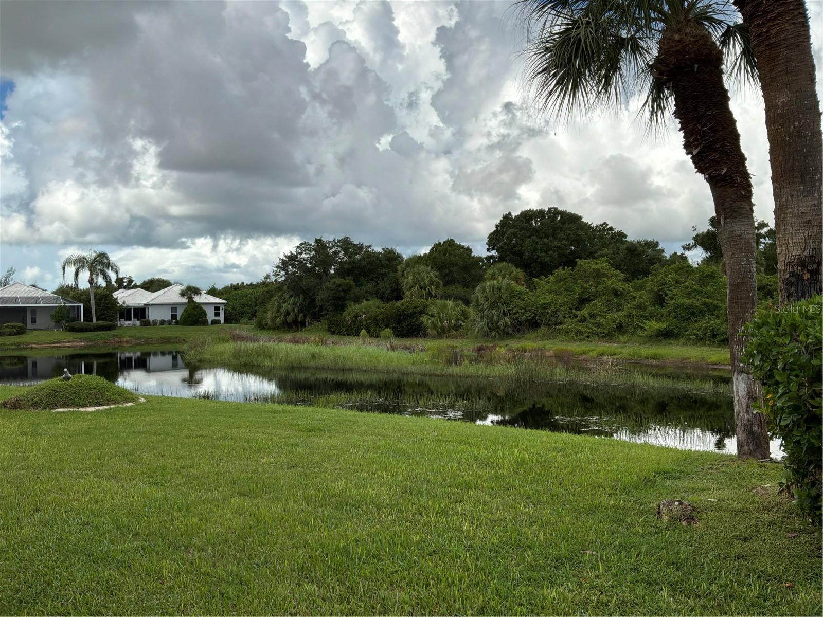737 Pond Lily Way Property Photo 33