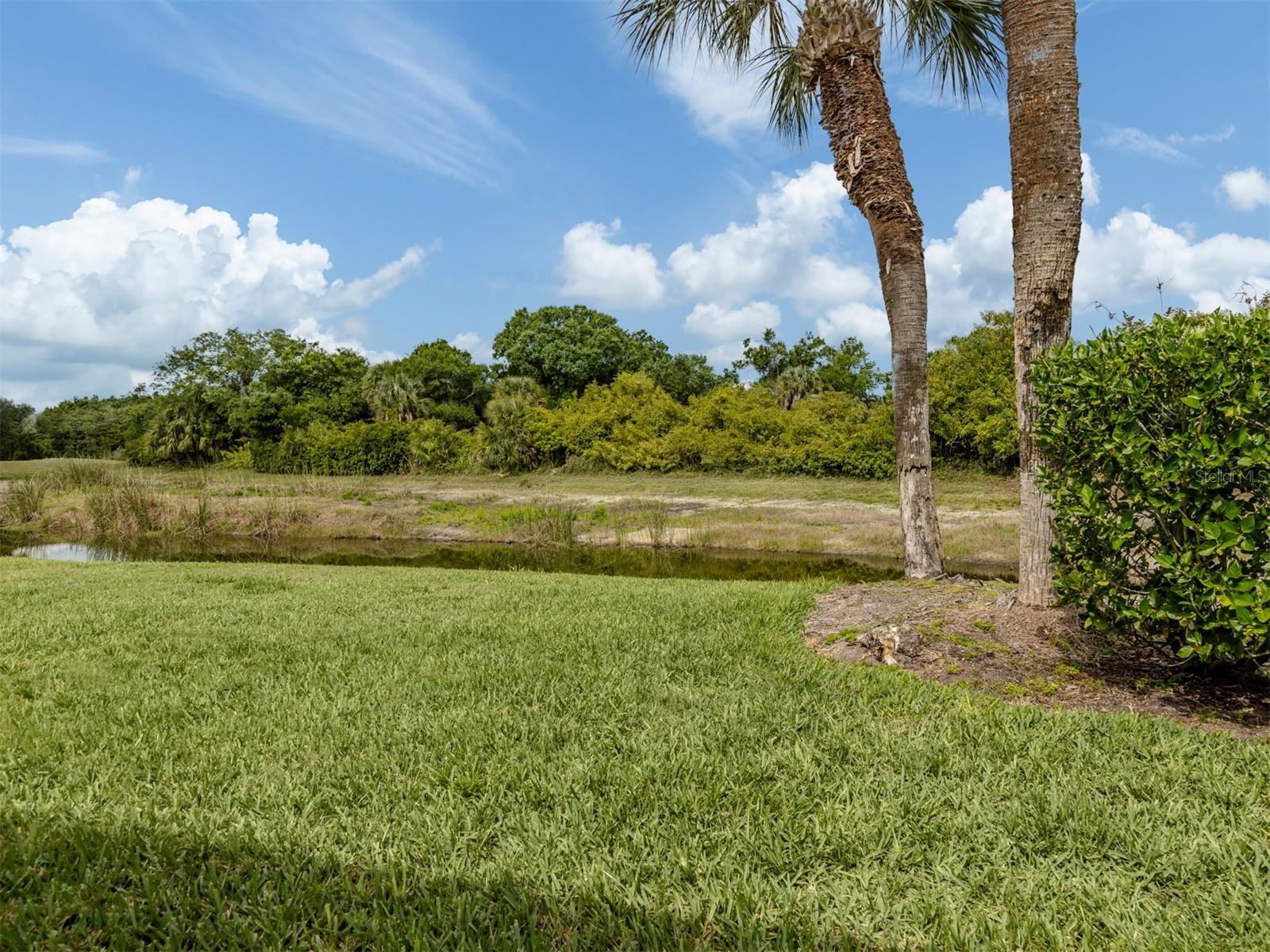 737 Pond Lily Way Property Photo 37