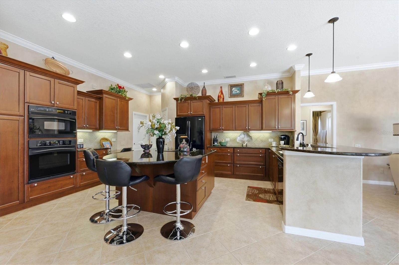 1166 Eagles Flight Way Property Photo 20