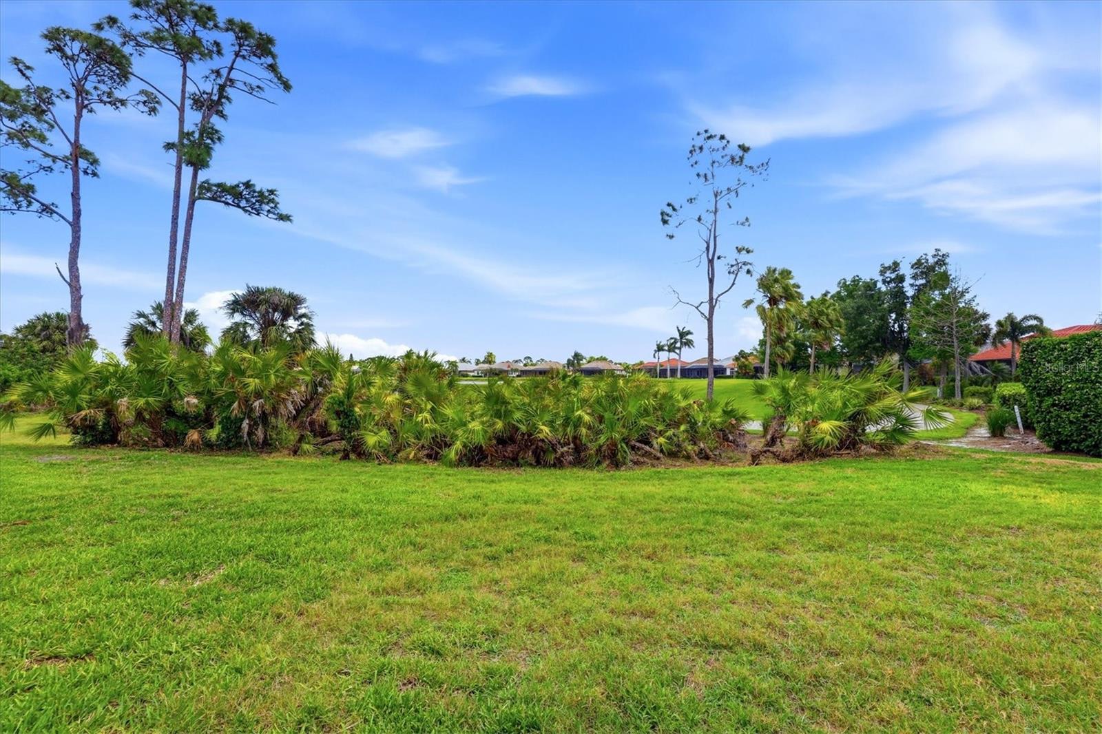 1166 Eagles Flight Way Property Photo 53
