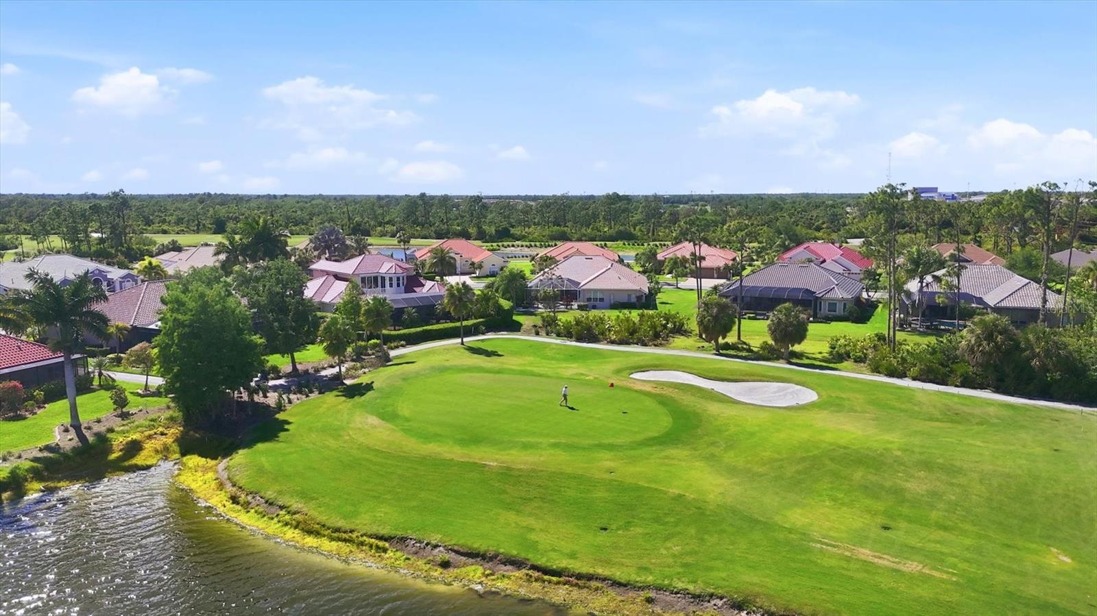 1166 Eagles Flight Way Property Photo 60