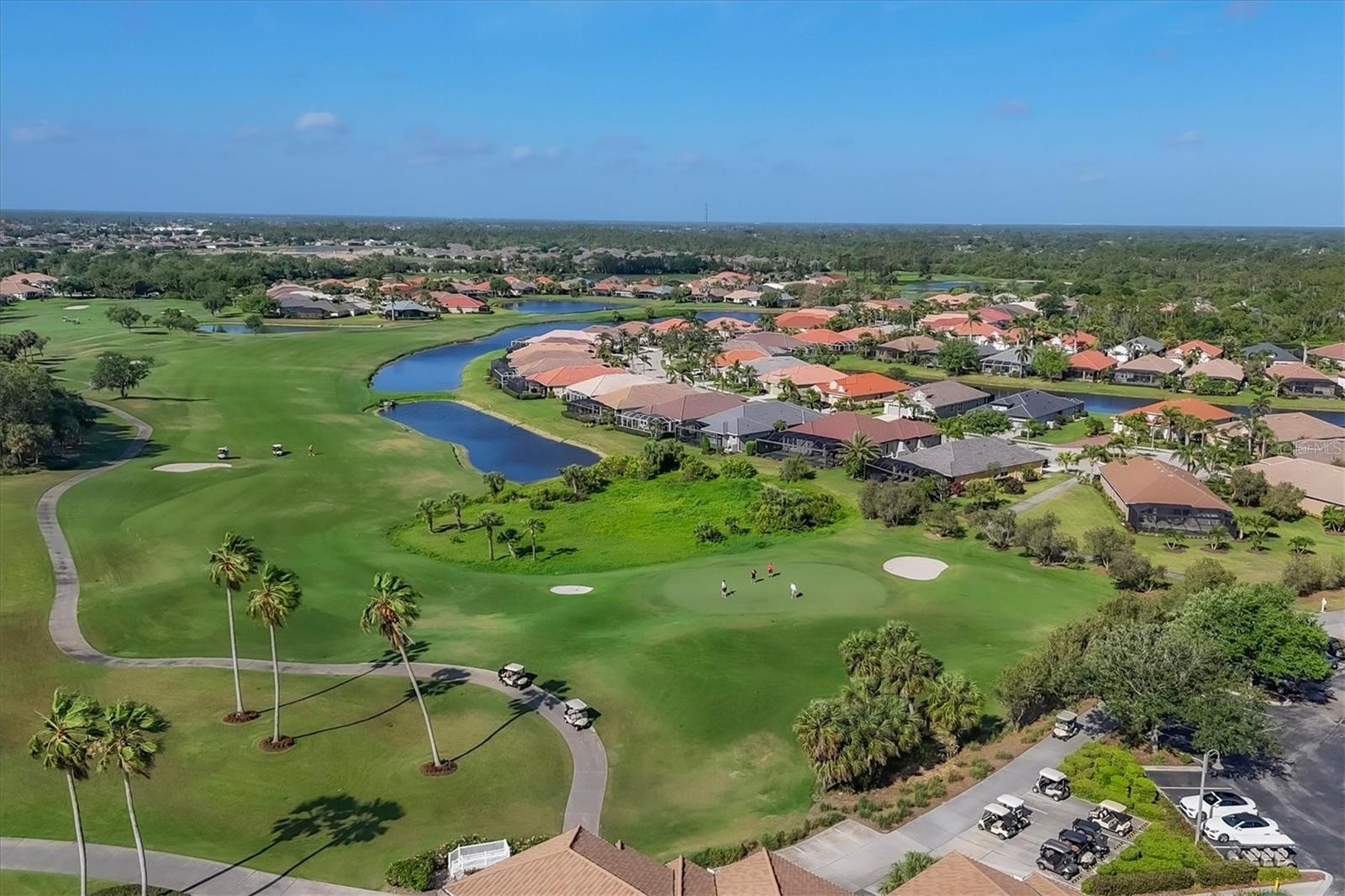 1166 Eagles Flight Way Property Photo 83