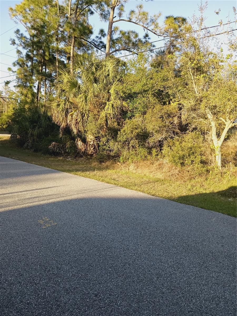 Lot 1 Tropicaire Blvd Property Photo 2