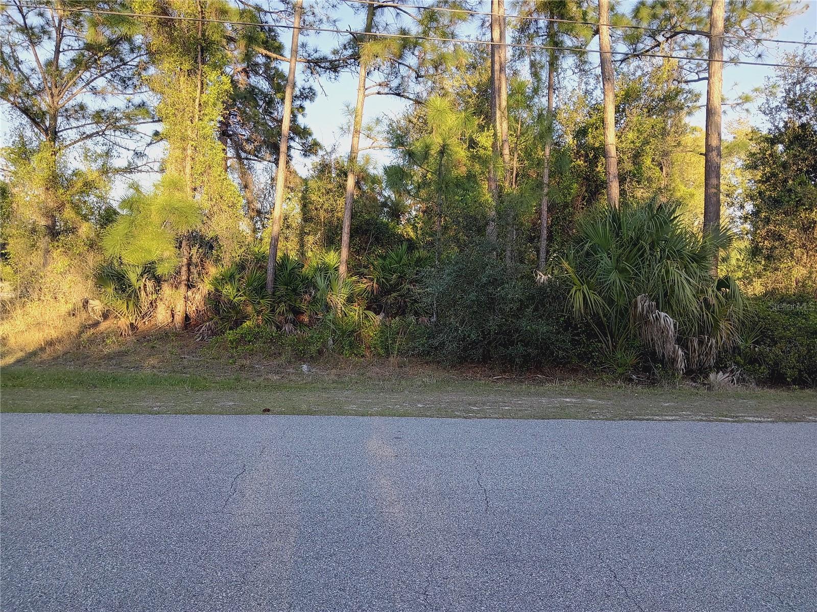 Lot 1 Tropicaire Blvd Property Photo 3