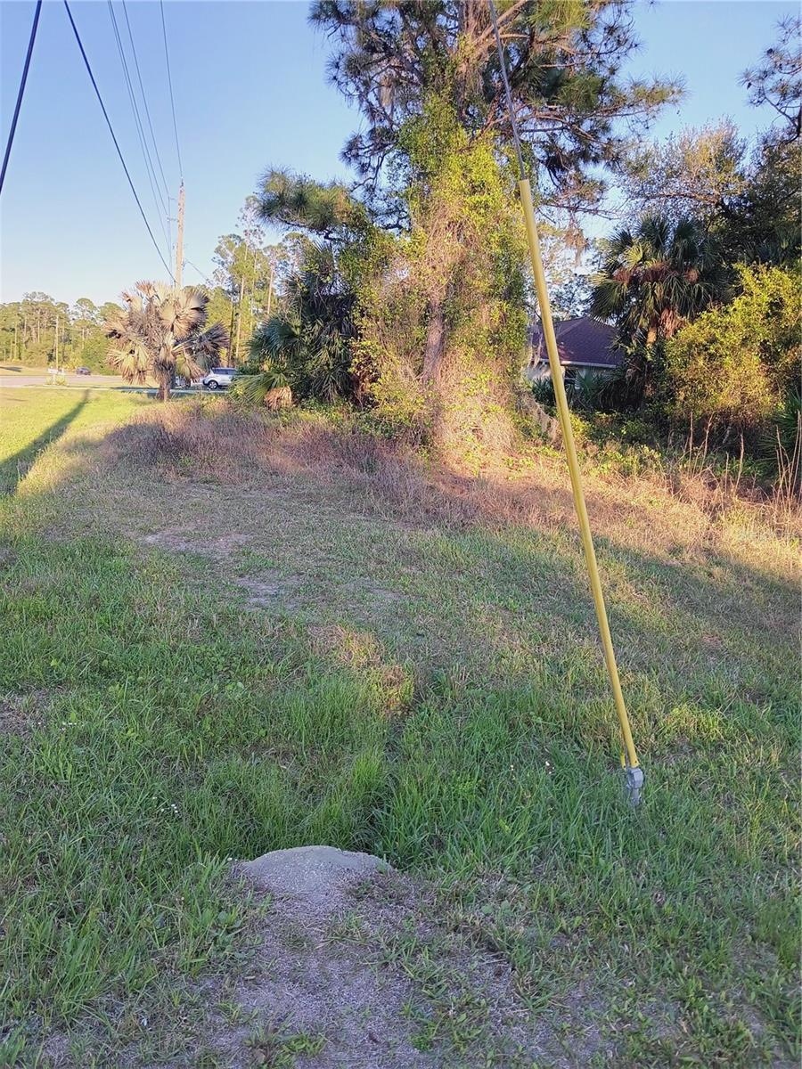 Lot 1 Tropicaire Blvd Property Photo 4