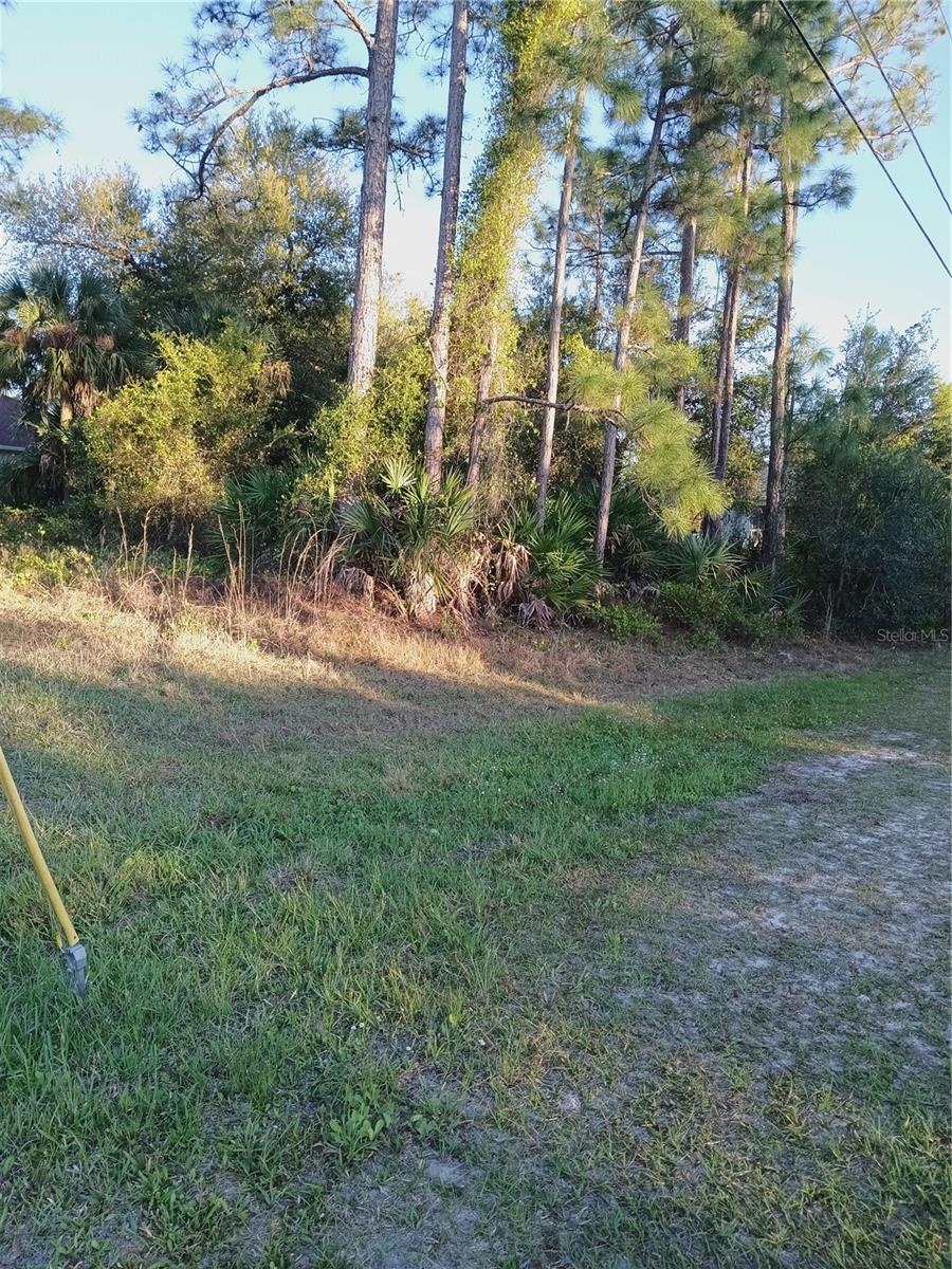 Lot 1 Tropicaire Blvd Property Photo 5