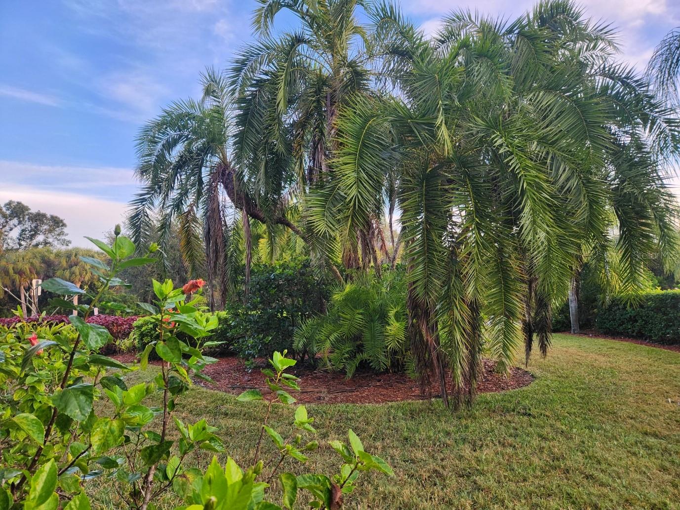 4442 Corso Venetia Blvd #a14 Property Photo 8