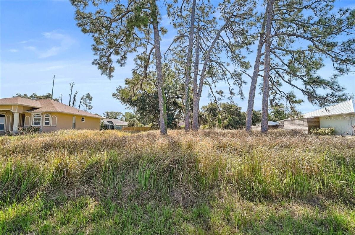 Sabrina Ter Property Photo 6