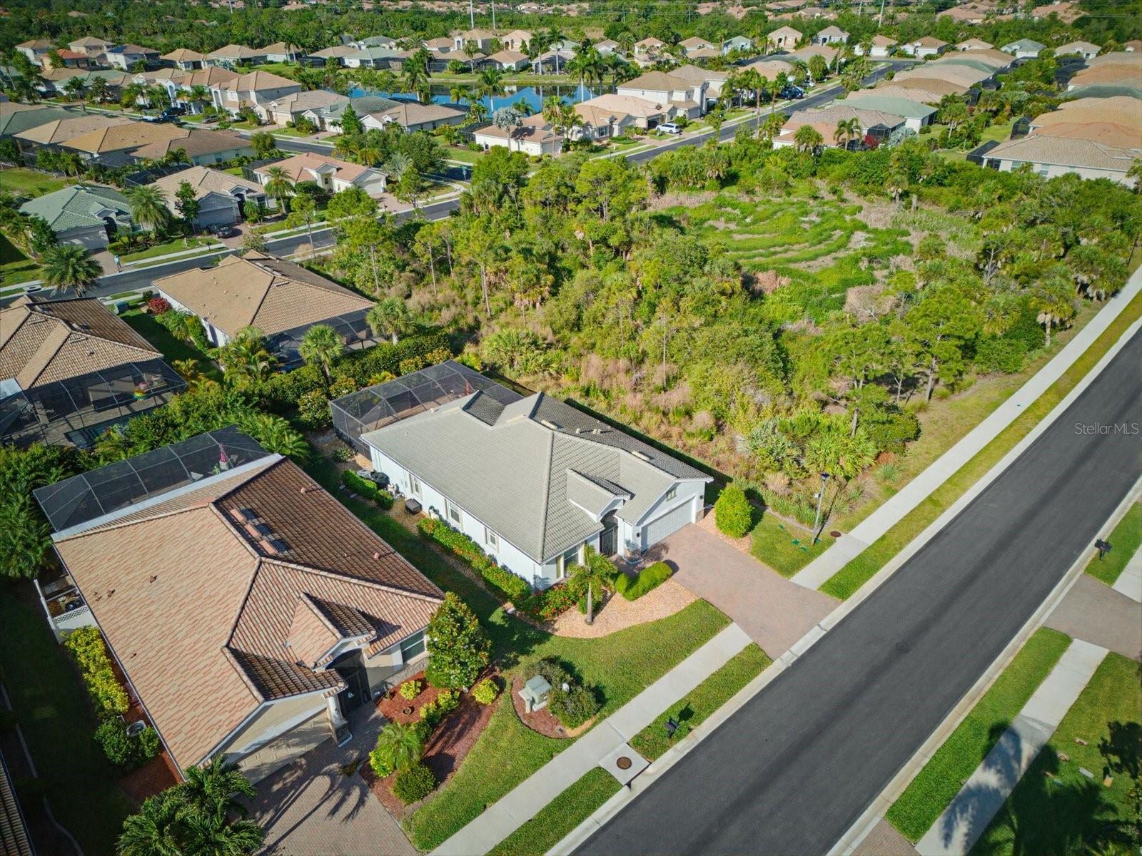 11697 Spotted Margay Ave Property Photo 35
