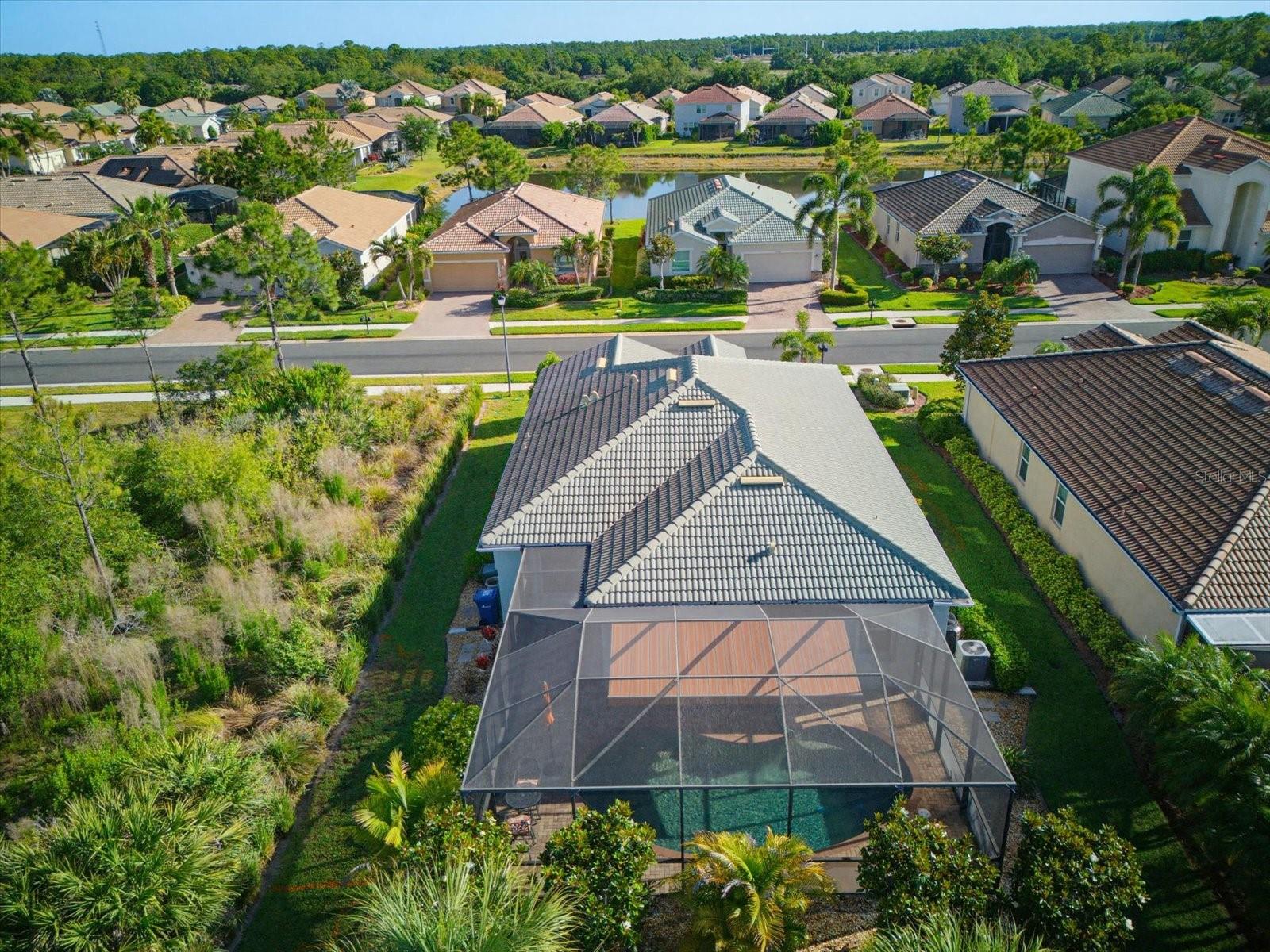 11697 Spotted Margay Ave Property Photo 40