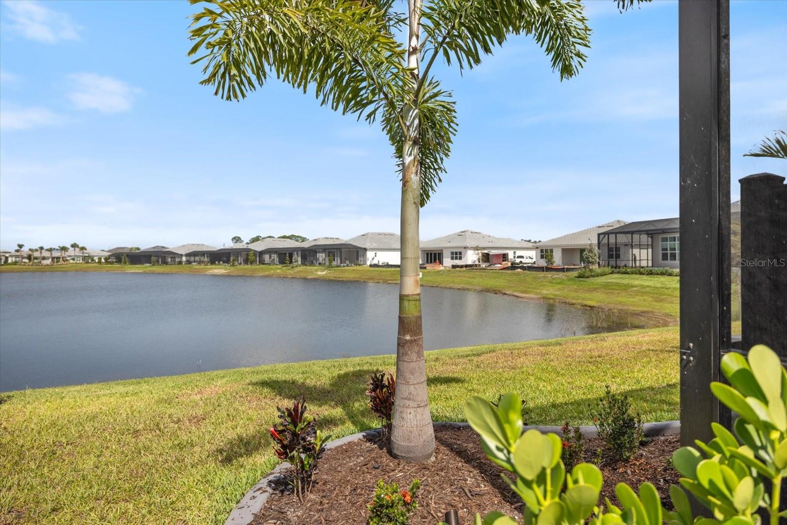 10333 Blue Runner Dr Property Photo 69