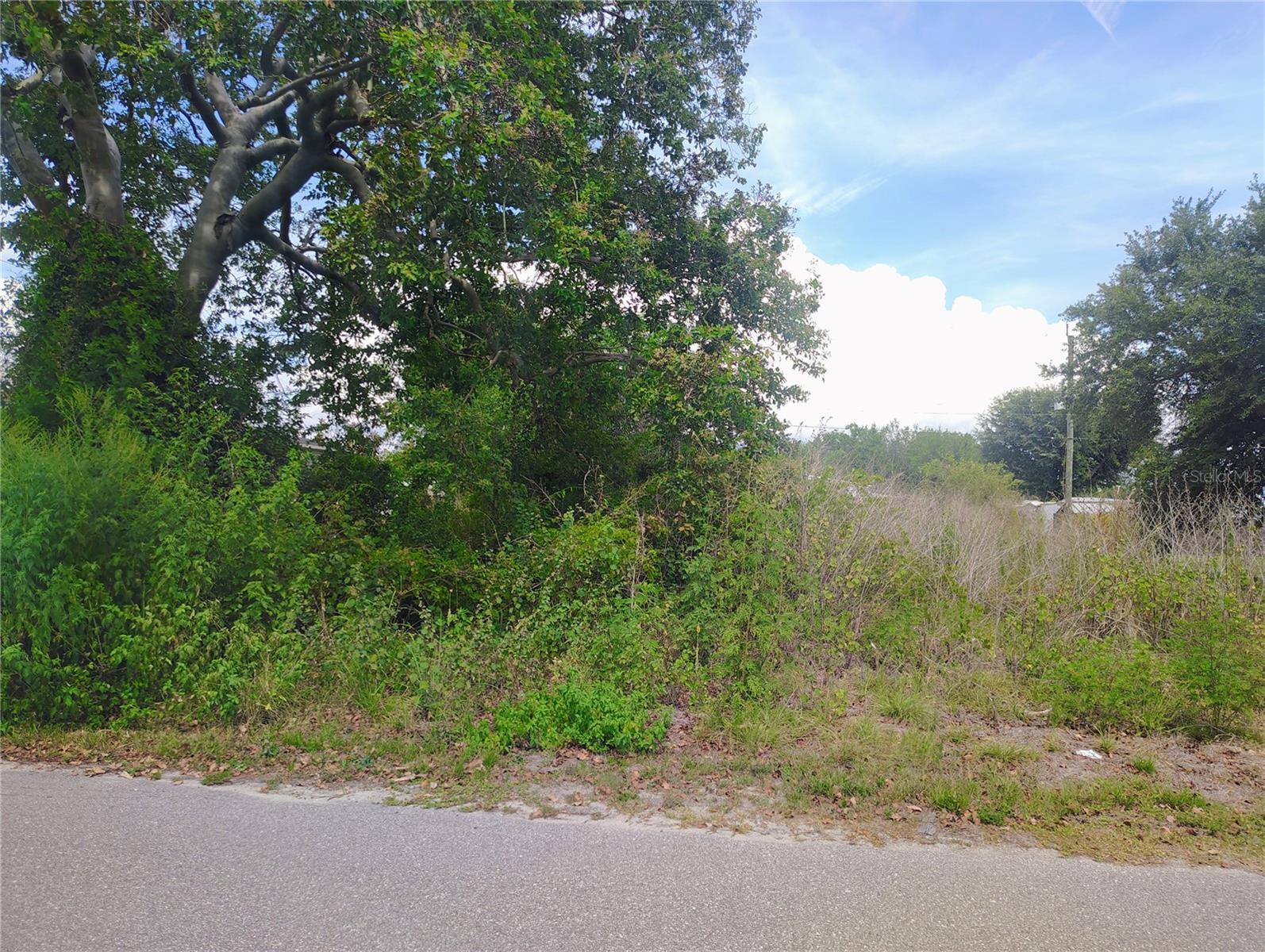 9284 Mandy St Property Photo 2