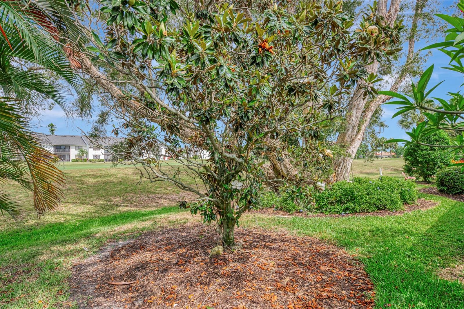 625 Misty Pine Dr Property Photo 44