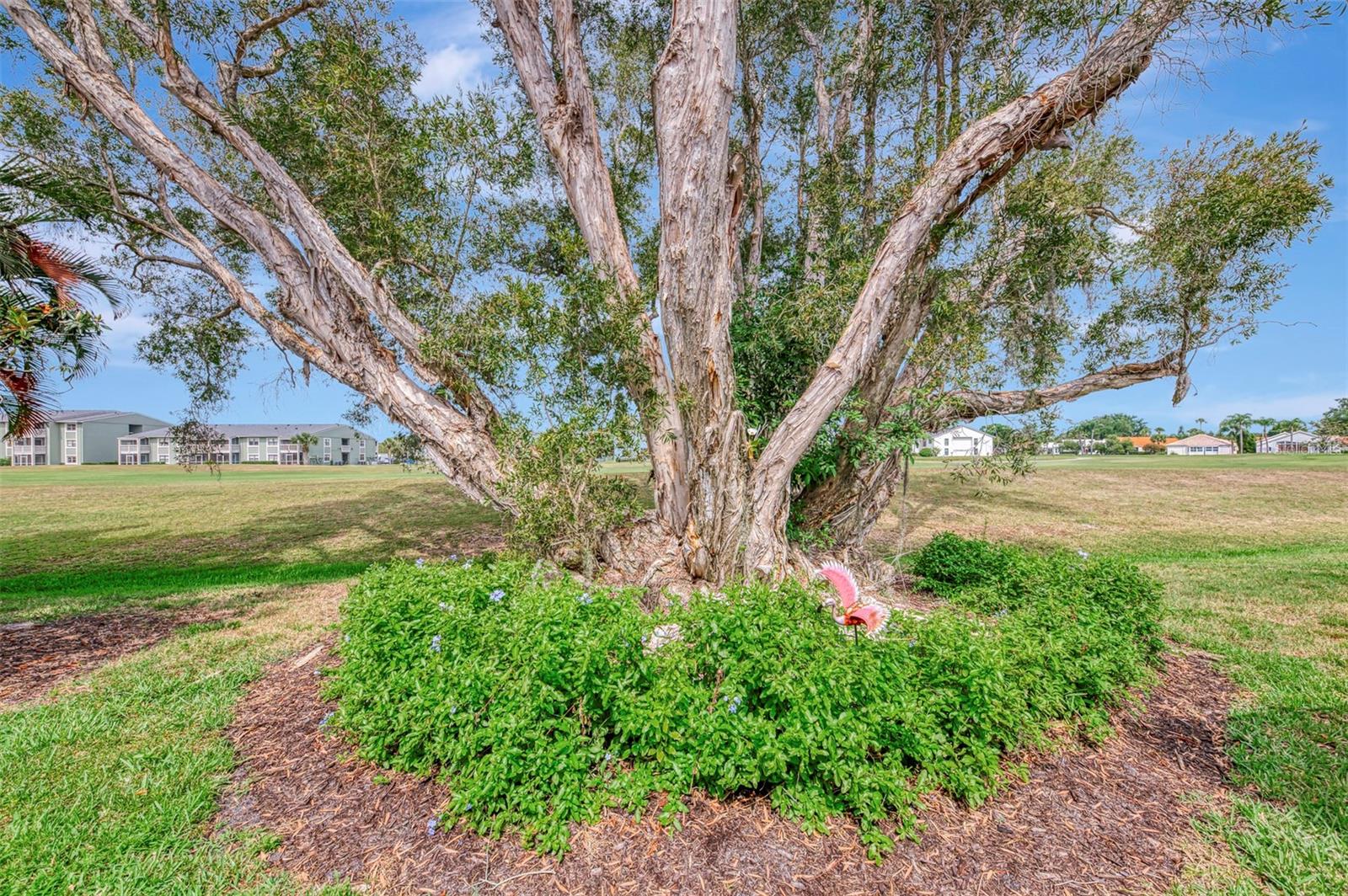 625 Misty Pine Dr Property Photo 45