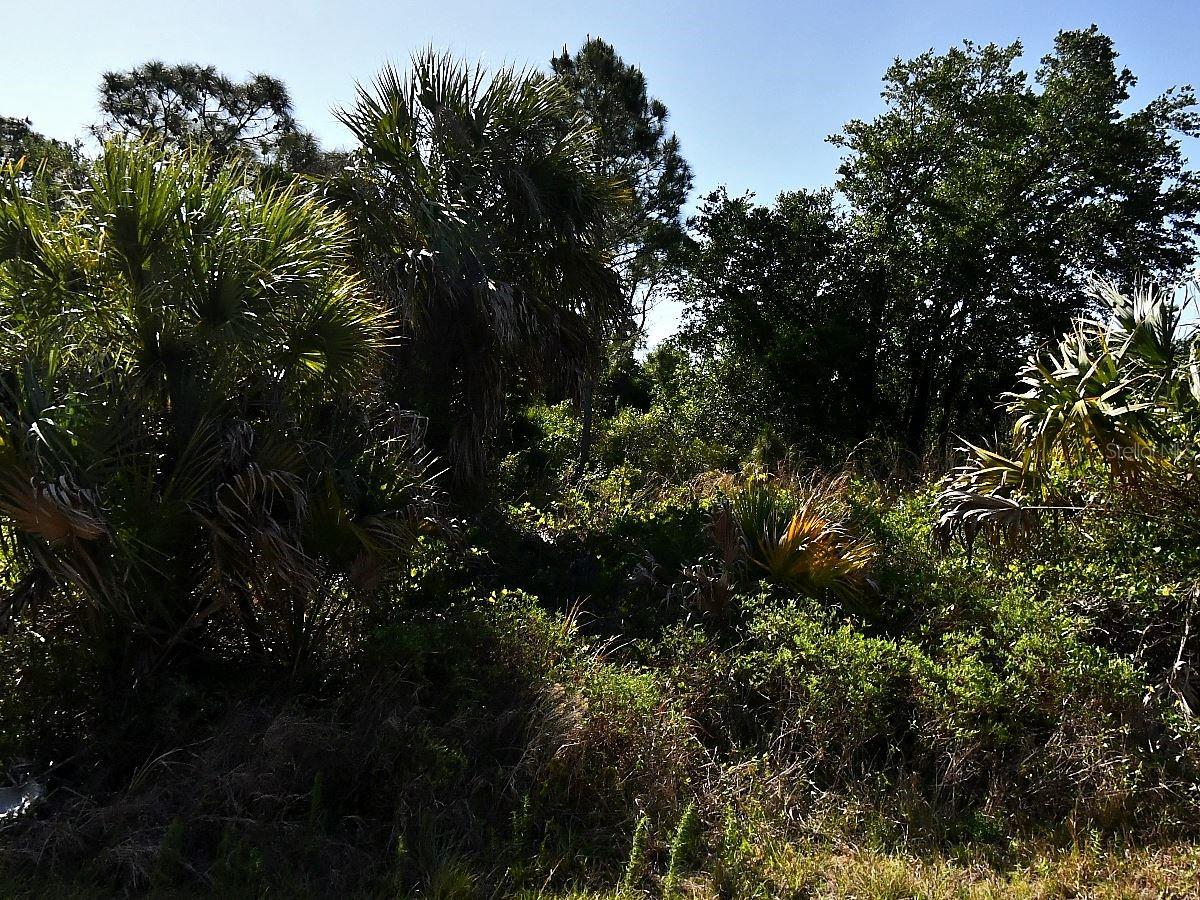 Lot 2 Bannock Cir Property Photo 3