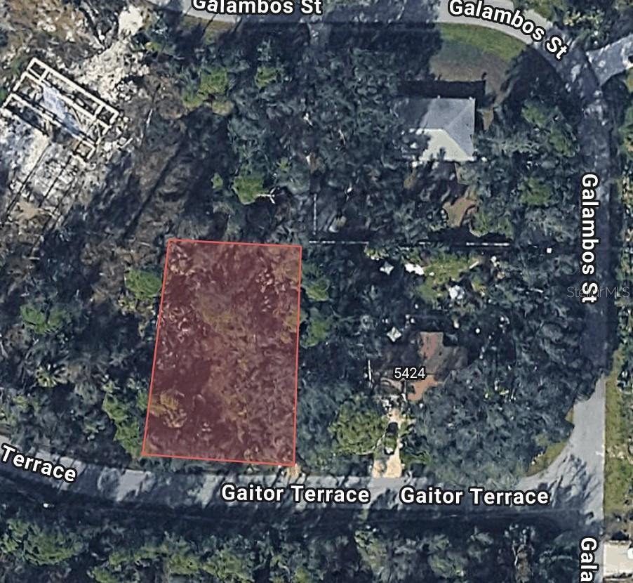 Gaitor Ter Property Photo 1